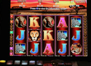 pg娱乐游戏app最新版